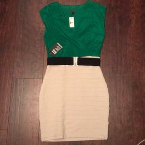 Brand New Bodycon Dress